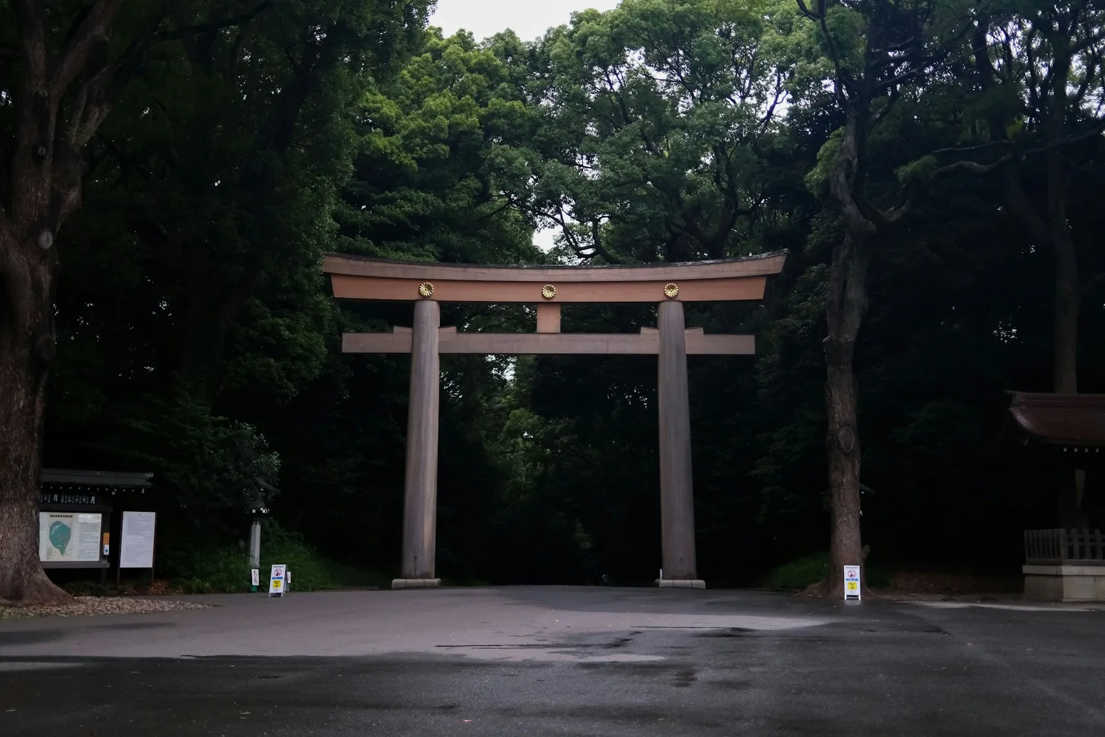 A large wooden torii gate at the entrance to a dense forest in Tokyo
