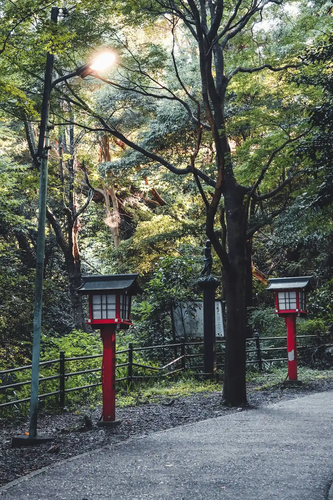 Red lanterns along a forest path on Mount Takao near Tokyo