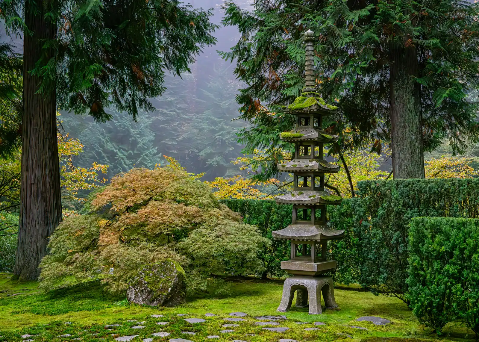 A stone lantern in a moss garden in Japan
