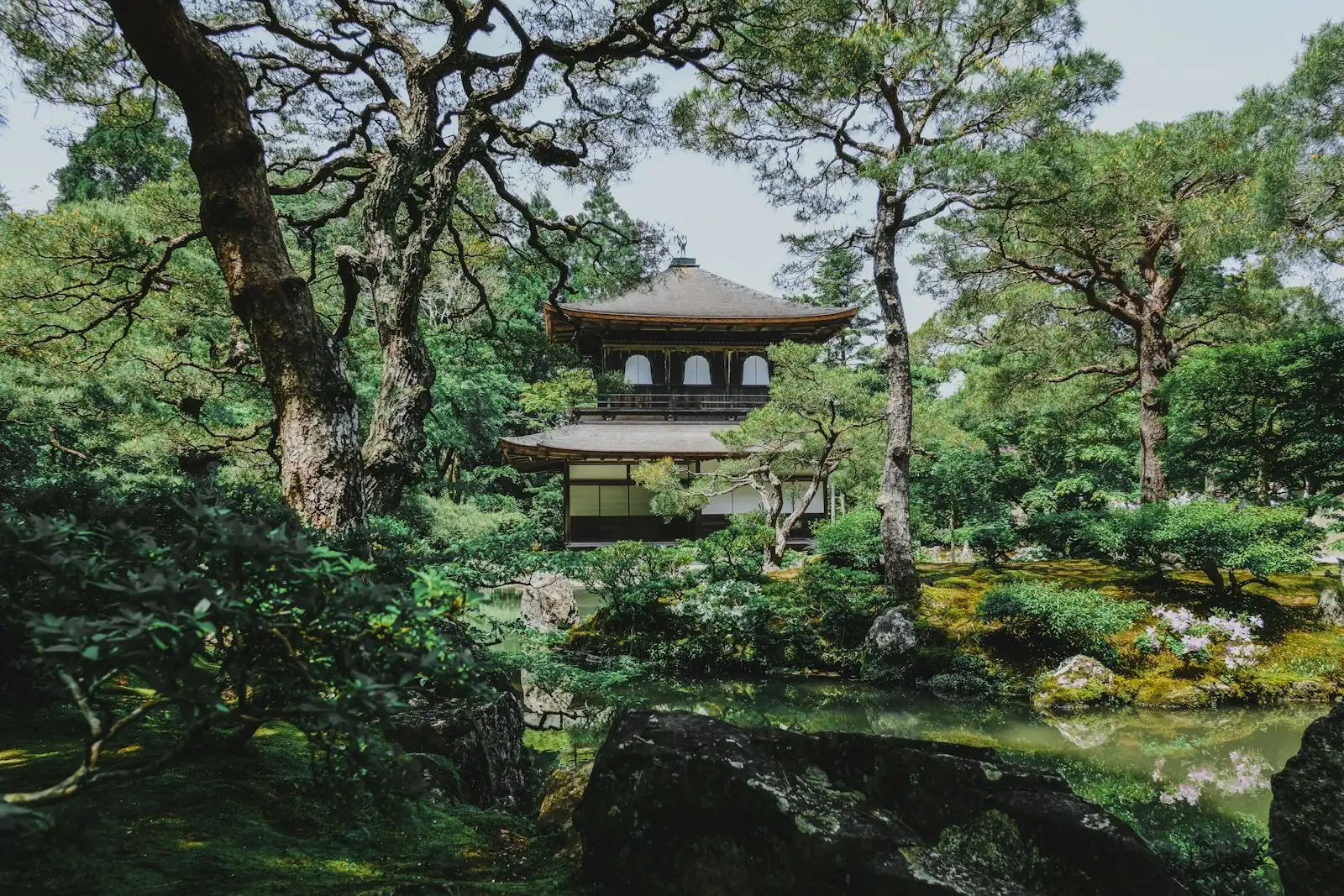 Building near trees during daytime