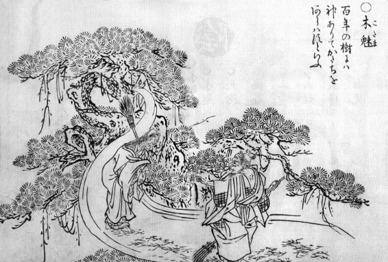 Kodama, the tree spirit, from Toriyama Sekien’s Gazu Hyakki Yagyō (1776)
