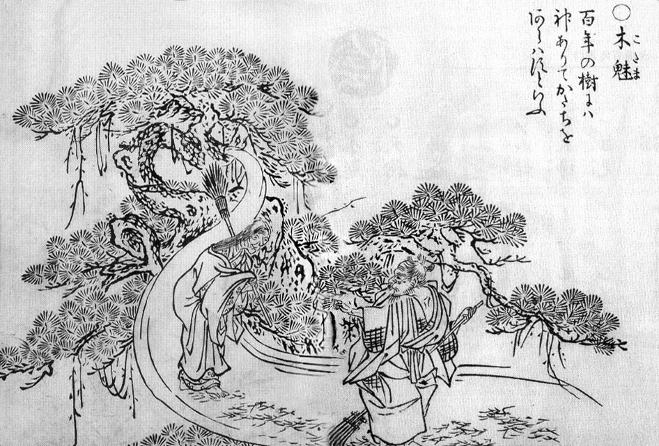 Kodama, the tree spirit, from Toriyama Sekien’s Gazu Hyakki Yagyō (1776)